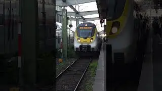 MEX 12 Talent 2 BR 8442 611 Einfahrt Hauptbahnhof Stuttgart nach Heilbronn #frankenbahn
