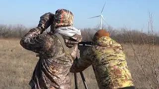 Bison Hunt