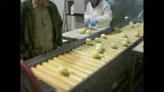 Onion Peeler with Top & Tailer - Industrial Onion Peeler: www.charliesmachineandsupply.com