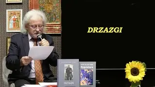 Drzazgi