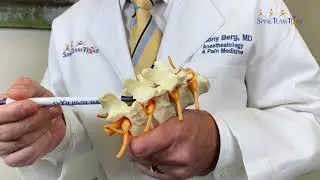 Spinal Cord Stimulator | What is it and why is it used?