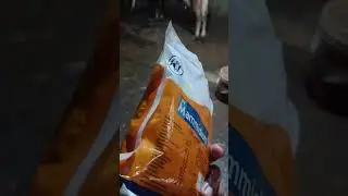 Mammidium powder #cow #milk #dairy #farming #animals