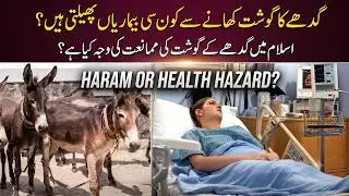 Side Effects of Donkey Meat | Why Donkey Meat is Haraam in Islam ? 100KG Donkey Meat in Islamabad