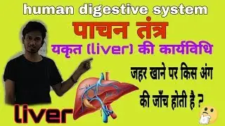 Science :यकृत (liver)के कार्य / by-akash sir /lecture 19