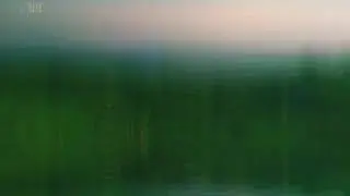 Travel vibes, Panchalimedu, idukki - WhatsApp Status - Exploring Kerala
