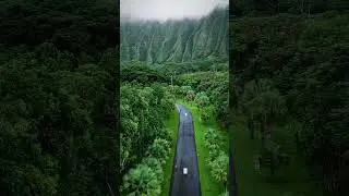 Jumanji into the jungle #jumanji #intothejungle