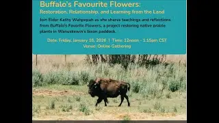 Buffalos' Favourite Flowers with Elder Kathy Wahpepah hosted by the PFSVN