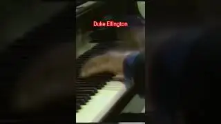 One of the greatest Duke Ellington licks #jazz #piano #duke #dukeellington