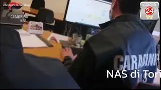 NAS di Torino, nel 2025 multe per 500 mila euro e 21 quintali di alimenti sequestrati