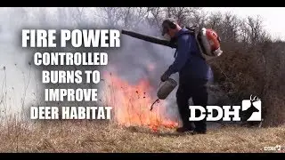 Fire Power &ndash; Use Controlled Burns to Improve Deer Habitat | Steve Bartylla @deerhuntingmag