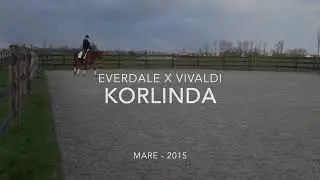 Korlinda (Everdale x Vivaldi)