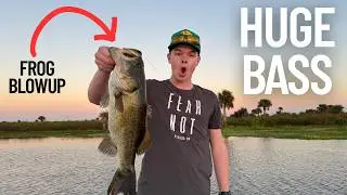 HUGE Bass Frog Blowups in Lake Headwaters | Insane Bite 🐸 💥