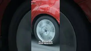 Rolling in Style: Finding the Right Tires for Your Vehicle