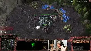 ZvP - vibu vs our boy Pig