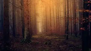 Relaxation Music - Cello & Piano  #relaxingmusic  #atmosphericmusic