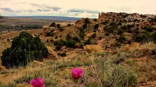Colorado's Book Cliffs- The High Desert in Bloom