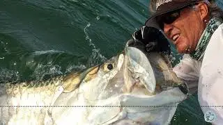 S6, Ep 65  The Evolution of an Athlete - Andy Mill's Path to Fishing Greatness