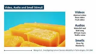 Investigating Lemurs Sensory Modality in Technologies: How do Lemurs Engage with Single and Multi...