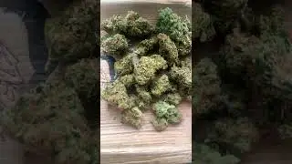 Legal uk medical Grow Pharma strawberry glue 22%thc 1%cbd 10g #itsokaytotalk #medicated