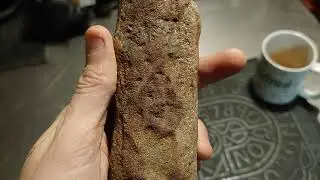 Stigmaria tree root fossil from the carboniferous period roughly 350 MYA.