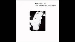 Pornosect - Media Response