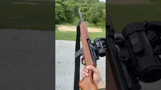 ERMA Werke M1 Carbine .22 WMR with Red Dot Sight