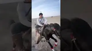 ана чавандоз🏇🏇🏇 #horse #automobile #kopkari #лошади #rek #ot #horseriding #лошадь #конноеранчо