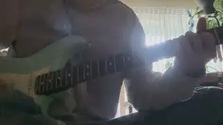 Plunk rubber bridge first impressions mess around