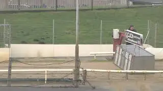Greyhound 2026- 18.01.2026 Trial 7