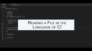 Reading from a .txt file in the language of C!