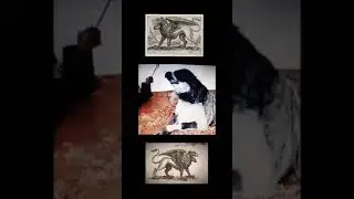 Griffin the mythological creature caught on camera.
