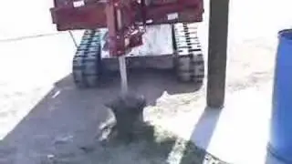 Double Pole Claw