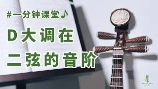 一分钟琵琶课堂：D大调在二弦的音阶