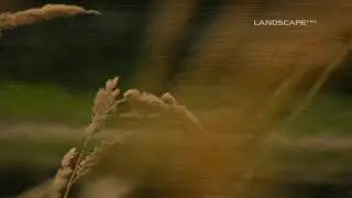 Vivaldi - Adagio From Four Seasons Winter (LandscapeHD)