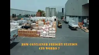 82  How Does a CFS Work &ndash; From cargo consolidation to customs clearance