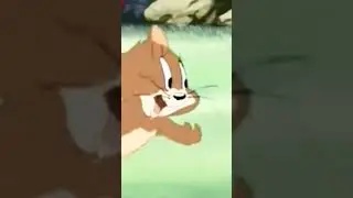 Tom& Jerryvideo #wbkids #shorts #new #new | cartoon video |