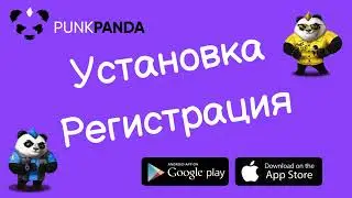 Punk Panda. Установка и регистрация