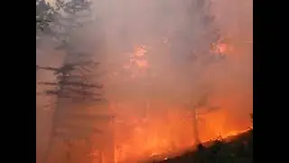 Close Call! Crown Run! Gilead Fire, Wyoming. September 2012.