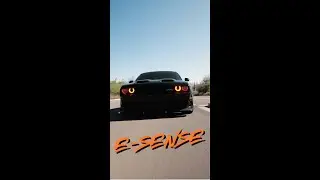 E-Sense. Built to Dominate