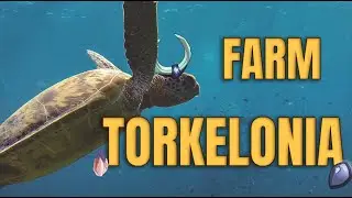 Farm kamas - 10 donjons Torkelonia