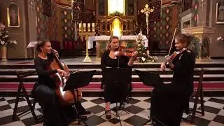 J.S. Bach - Air on G string (string trio)