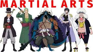 The Absurdity of One Piece Martial Arts