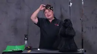 Cocker Spaniel Head with Irina Pinkusevich