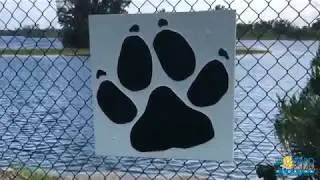 Broward County Parks Woofing Waters Dog Park & Marina Now Open