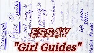 Essay 