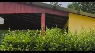 Investigan muerte de bebé de cinco meses por presunta agresión en Upala