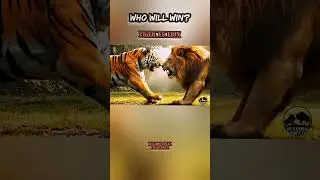 Savage Tiger vs Lion Clash 🐅🦁 Survival Showdown #BeastVsBeast #EpicAnimalBattle