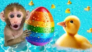 Beb&eacute; Mono DuDu va a nadar con lindos patitos y hace gelatina de arco&iacute;ris - MONKEY DUDU