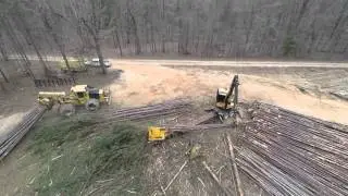 Clear Cut Logging