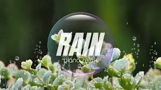 🌱Gentle Piano with Rain on Succulents & Nature Sounds for Sleep, Focus and Meditation